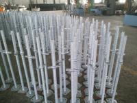 Adjustable Scaffoldi...